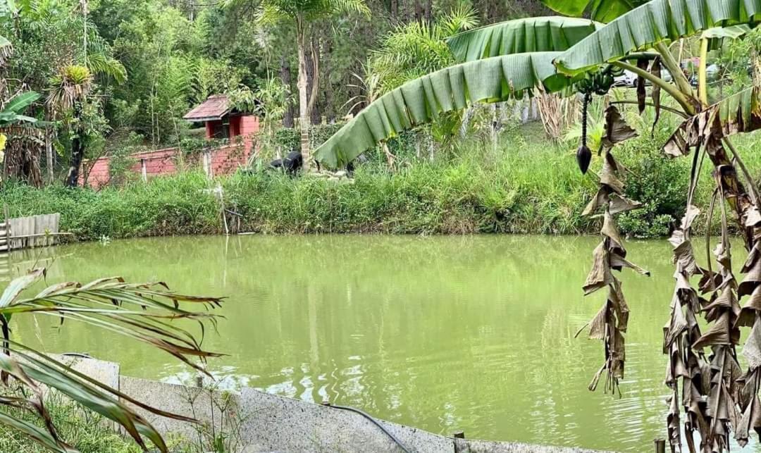 Chacara Recanto Dos Passaros Bairro das Rosas Εξωτερικό φωτογραφία